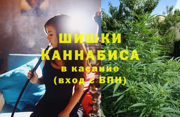 сатива Алексеевка