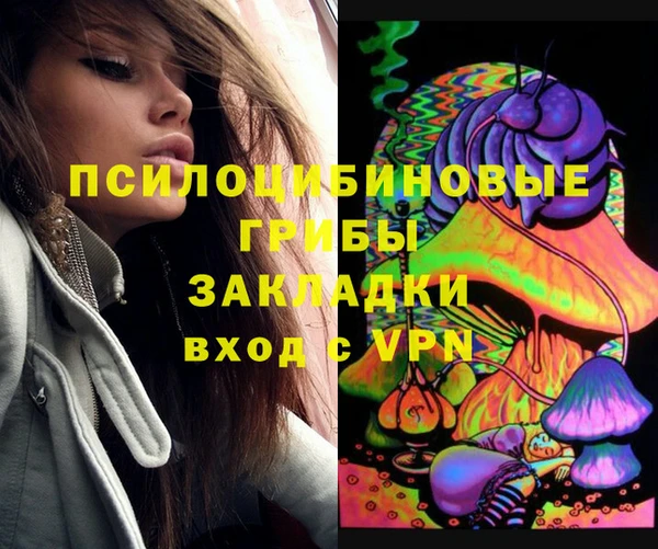 сатива Алексеевка