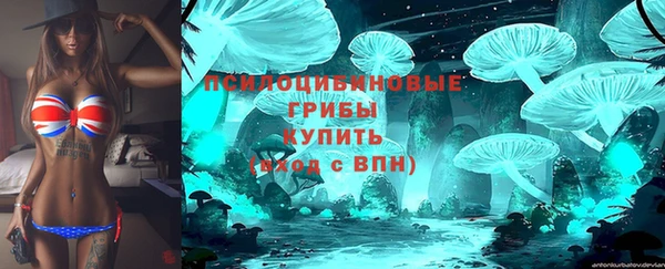 сатива Алексеевка