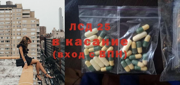 ПСИЛОЦИБИНОВЫЕ ГРИБЫ Алзамай
