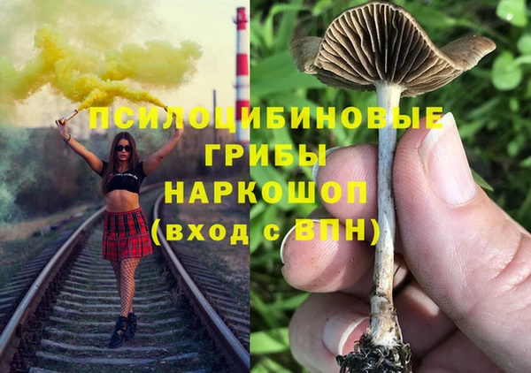 ПСИЛОЦИБИНОВЫЕ ГРИБЫ Алзамай