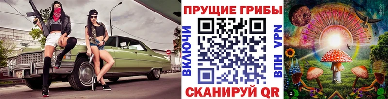 shop как зайти  Ленинск  Псилоцибиновые грибы мухоморы  даркнет сайт 